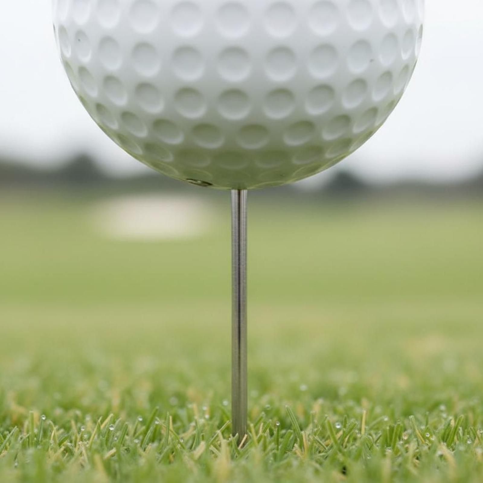 Course Teeing Starter Golf Bal - Golf Tees ulasan dan harga